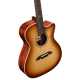 MF60CEHFSHB  MASTERWORKS