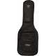 AGB20-A ACOUSTIC