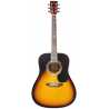 QGA-31 SB SUNBURST