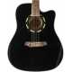 QGA-51CE ACOUSTIC PACK