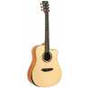 QGA-100C Solid Nat (No Preamp)
