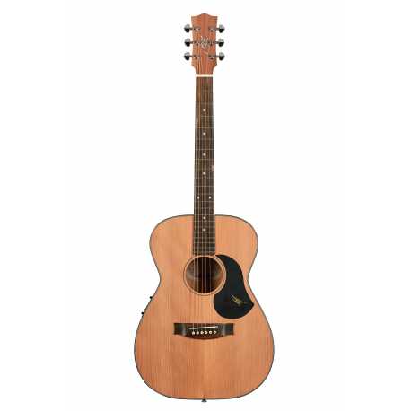 RM808 w/CASE