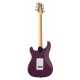 SE Silver Sky Maple Summit Purple