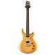 SE DGT Gold Top