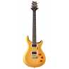 SE DGT Gold Top