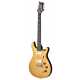 SE DGT Gold Top