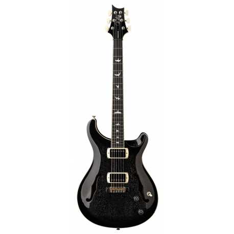 SE Hollowbody Standard DH Dog Hair Smokeburst
