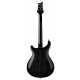 SE Hollowbody Standard DH Dog Hair Smokeburst