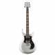S2 Standard 24 Platinum Metallic