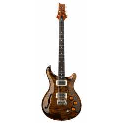 DGT Semi-Hollow Tiger Eye Moons