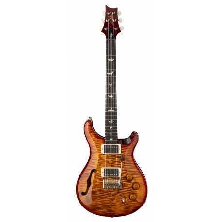 DGT Semi-Hollow Dark Cherry Sunburst Birds