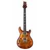 DGT Semi-Hollow Dark Cherry Sunburst Birds