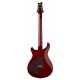 DGT Semi-Hollow Dark Cherry Sunburst Birds