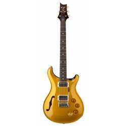 DGT Semi-Hollow Gold Top Moons