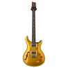 DGT Semi-Hollow Gold Top Moons