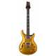 DGT Semi-Hollow Gold Top Birds