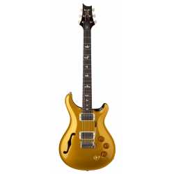 DGT Semi-Hollow Gold Top Birds