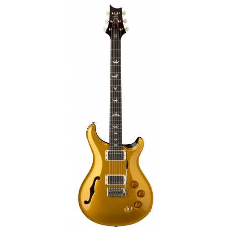 DGT Semi-Hollow Gold Top Birds