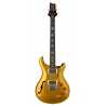 DGT Semi-Hollow Gold Top Birds