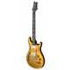 DGT Semi-Hollow Gold Top Birds