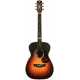 EBG808 TE TSB TOMMY EMMANUEL w/CASE