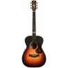 EBG808 TE TSB TOMMY EMMANUEL w/CASE
