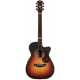 EBG808C TE TSB TOMMY EMMANUEL w/CASE
