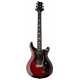 S2 Standard 22 Scarlet Sunburst
