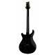 S2 Custom 24-08 Black Amber