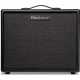 ARTIST FR SPECIAL 100W 1X12