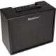 ARTIST FR SPECIAL 100W 1X12