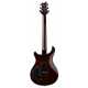 SE DGT Standard (Moons) McCarty Tobacco Sunburst