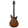S2 Special Semi Hollow Black Amber