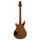 McCarty 594 Aurora Borealis