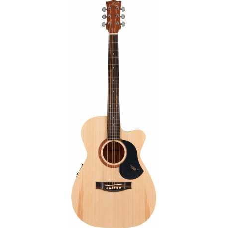 The Performer w/Case