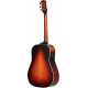 Troubadour Dreadnought