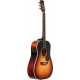 Troubadour Dreadnought