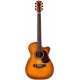 EBG808C Nashville w/Case