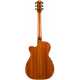 EBG808C Nashville w/Case