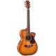 EBG808C Nashville w/Case