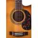 EBG808C Nashville w/Case