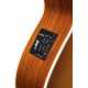 EBG808C Nashville w/Case