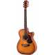 EBG808C Nashville w/Case