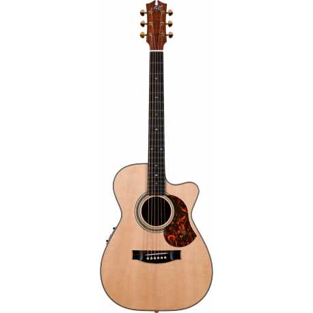EBG808C Artist w/Case