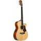 EBG808TE Tommy Emmanuel w/Case