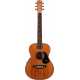 EMBW6 w/Case