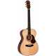 EM100 808 Messiah w/Deluxe Case