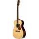 The Maton Classic w/Deluxe Case