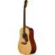 The Master Built Dreadnought w/Deluxe Case