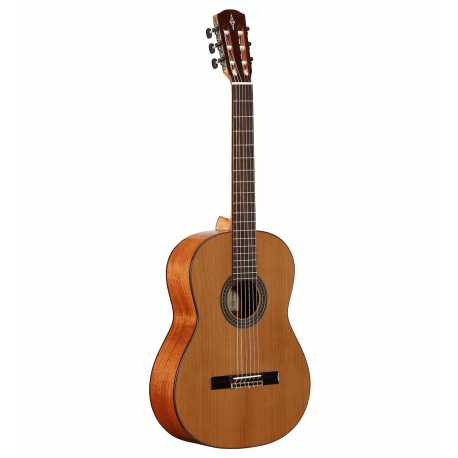 AC65 ARTIST
